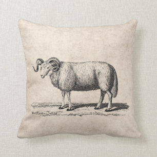 Vintage Domestic Sheep Illustration - 1800's Ram Throw Pillow