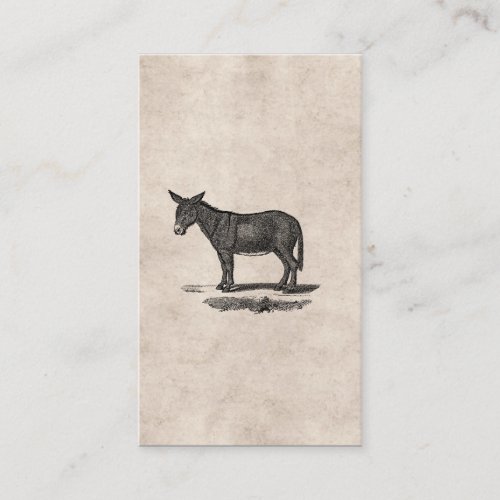 Vintage Donkey Illustration - 1800's Donkeys Business Card Template