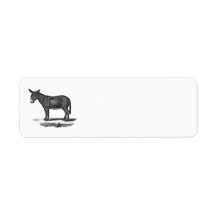 Vintage Donkey Illustration - 1800's Donkeys Label