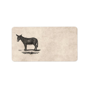 Vintage Donkey Illustration - 1800's Donkeys Label
