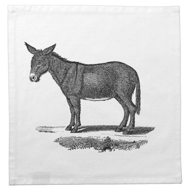 Vintage Donkey Illustration - 1800's Donkeys Napkin (Front)