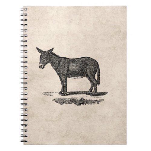 Vintage Donkey Illustration _1800s Donkeys Notebook