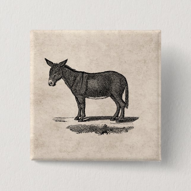 Vintage Donkey Illustration - 1800's Donkeys Pinback Button (Front)