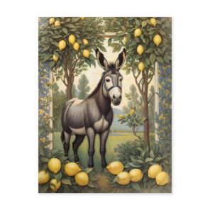 Vintage Donkey Under the Lemon Trees Postcard