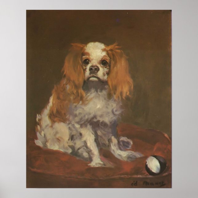 Vintage Dop Print "A King Charles Spaniel" (Front)