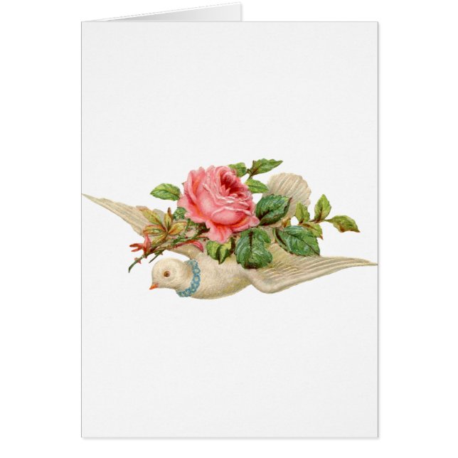 Vintage Dove and Rose Cards (Front)