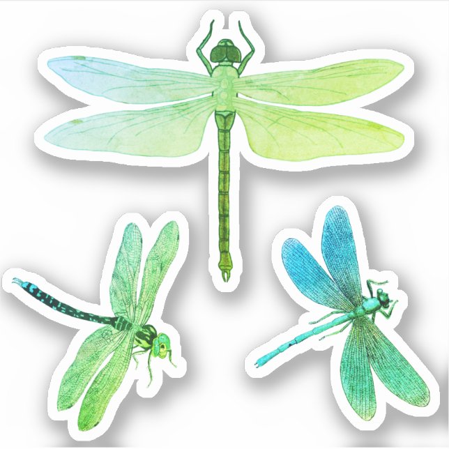Vintage Dragonflies Green Blue Sticker (Front)
