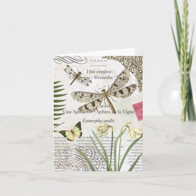 Vintage Dragonflies notecard (Front)