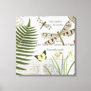 Vintage Dragonflies stretched canvas