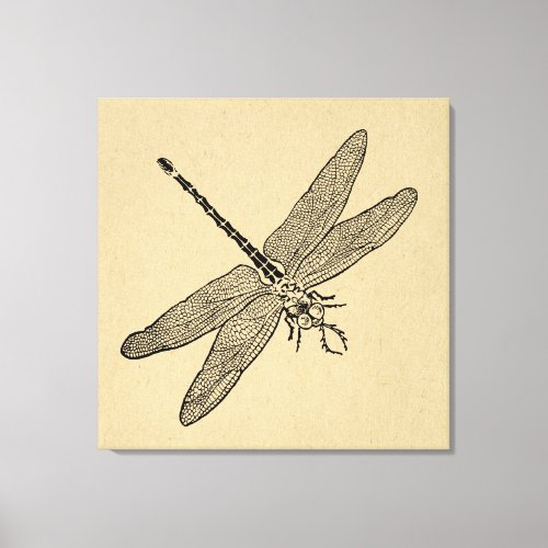 Vintage Dragonfly Art Canvas Print