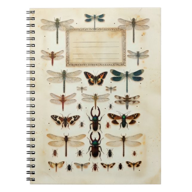 Vintage Dragonfly Beetle Taxonomy Specimen Chart Notebook (Front)