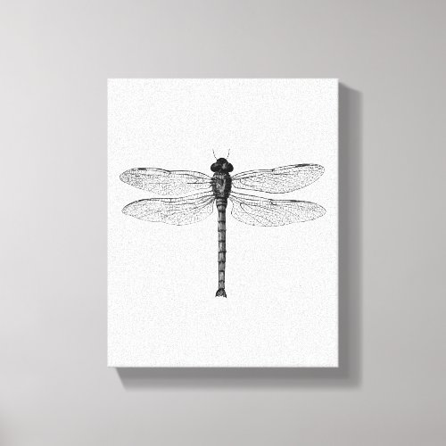 Vintage Dragonfly Canvas Print