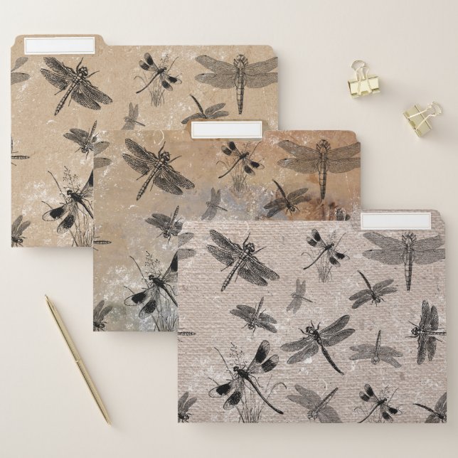 Vintage Dragonfly Distressed Entomology Pattern File Folder (Set)