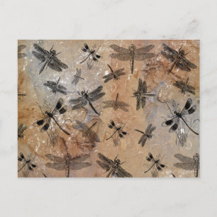 Vintage Dragonfly Distressed Entomology Pattern Holiday Postcard