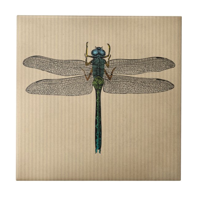 Vintage Dragonfly Illustration Ceramic Tile (Front)