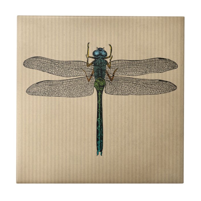 Vintage Dragonfly Illustration Ceramic Tile | Zazzle.com