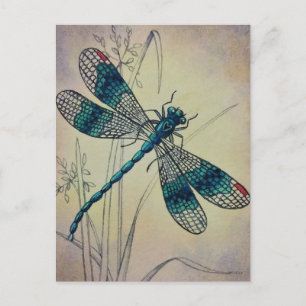 Vintage Dragonfly No. 2 Grass Watercolor Art Postc Postcard