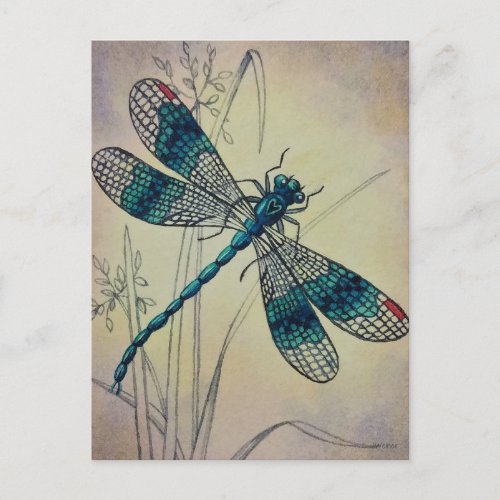 Vintage Dragonfly No 2 Grass Watercolor Art Postc Postcard