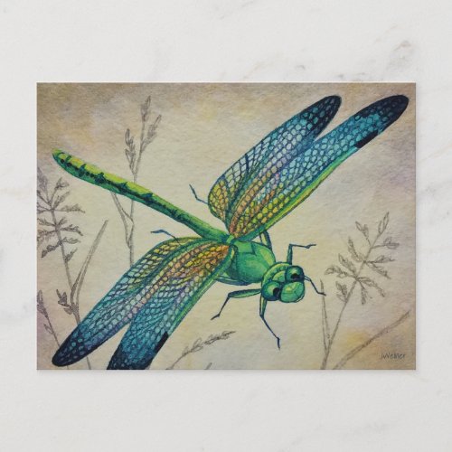 Vintage Dragonfly No 3 and Grass Watercolor Art Postcard