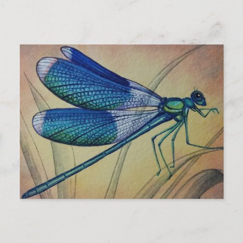 Vintage Dragonfly No 5 and Grass Watercolor Art Postcard