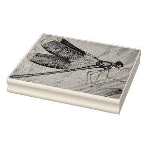 Vintage Dragonfly No. 5 and Grass Watercolor Art Rubber Stamp