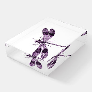 Vintage Dragonfly Paperweight