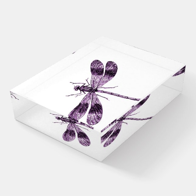 Vintage Dragonfly Paperweight (Angled)