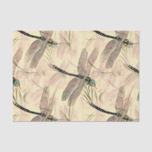 Vintage Dragonfly Print  Tissue Paper