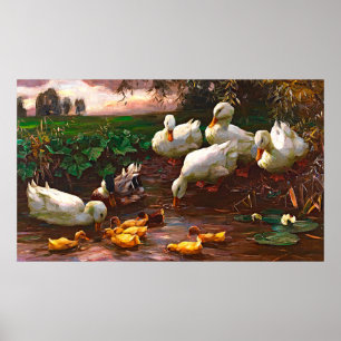 Vintage Drake With White Ducks & Yellow Ducklings Poster