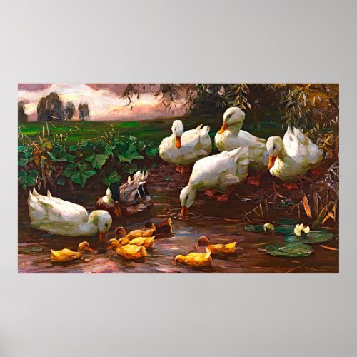 Vintage Drake With White Ducks  Yellow Ducklings Poster