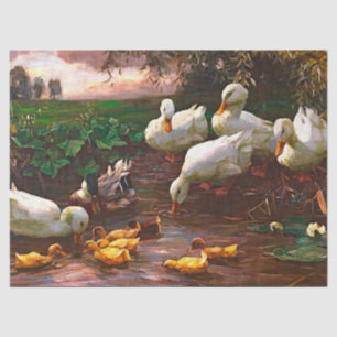 Vintage Drake With White Ducks & Yellow Ducklings Tissue Paper