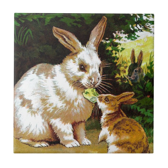 Vintage Drawing: Little Bunnies Tile (Front)