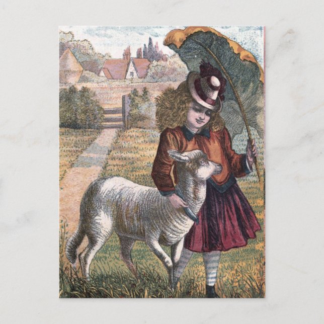 Vintage Drawing: Marry's Little Lamb Postcard (Front)