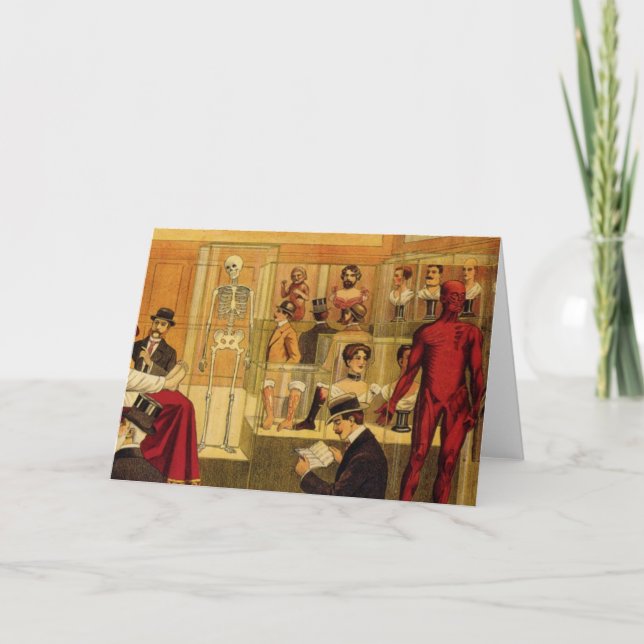 Vintage Drawing of Anatomy Museum - Greeting Card (Front)