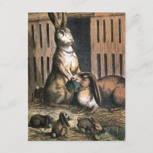 Vintage Drawing Proud Bunny Parents Postcard