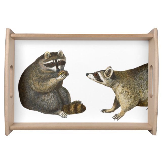 Vintage drawing "Raccoon wants it's Share" Serving Tray (Front)