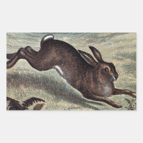 Vintage Drawing Running Hare in a Field Rectangular Sticker