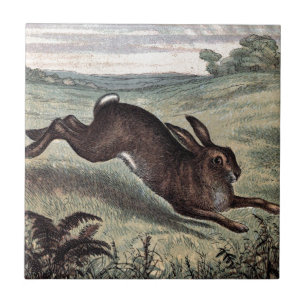 Vintage Drawing: Running Hare in a Field Tile