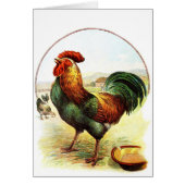 Vintage Drawing: The Rooster (Front)