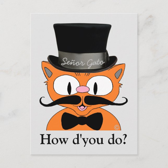 Vintage Dressed Cartoon Mustache Cat Friendship Postcard (Front)