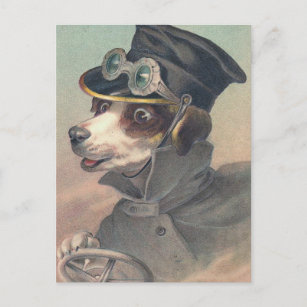 "Vintage Driver Dog" Postcard