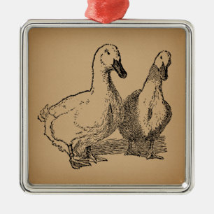 Vintage Duck Art Two Ducks Illustration Metal Ornament