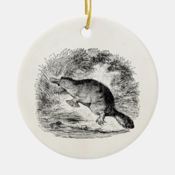 Vintage Duck Billed Platypus Personalized Animals Ceramic Ornament by SilverSpiral at Zazzle