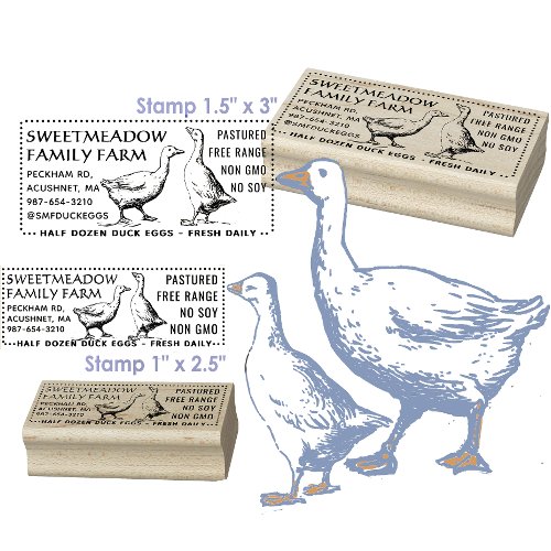 Vintage Duck Egg Carton Stamp Half Dozen 3 x 15