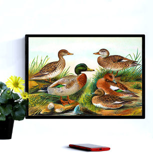 Vintage Ducks At The Pond 3 Poster