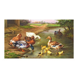 Vintage Ducks Ducklings Farm Animals Canvas Print