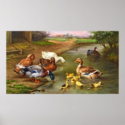 Vintage Ducks Ducklings Farm Animals Poster