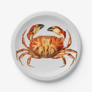 Vintage Dungeness Crab Illustration Paper Plates
