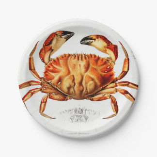 Vintage Dungeness Crab Illustration Paper Plates