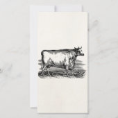 Vintage Durham Cow Bull Personalized Illustration (Front)